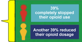 opiates eradication program results